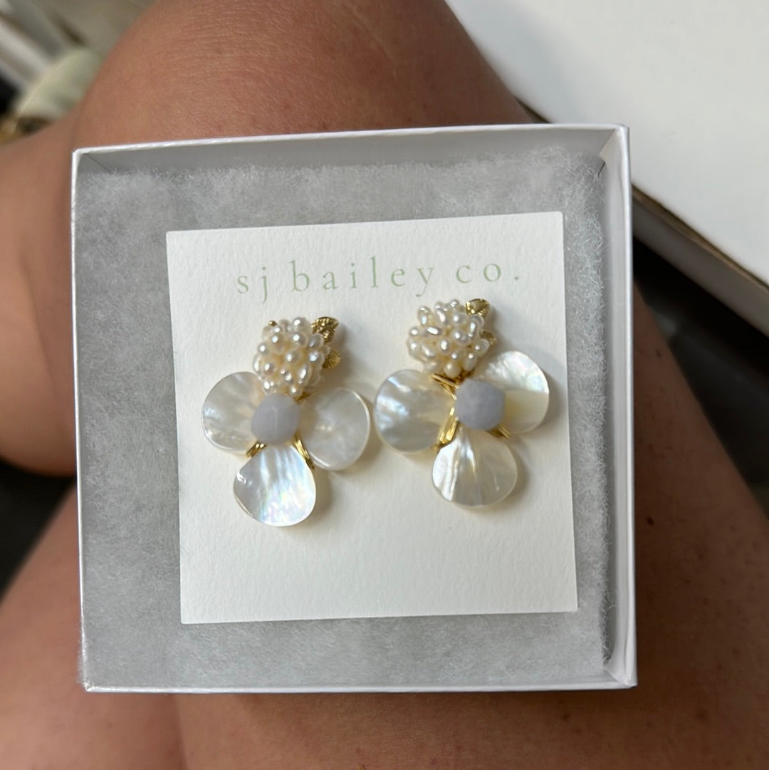 SJ Bailey Hydrangea in Aquamarine