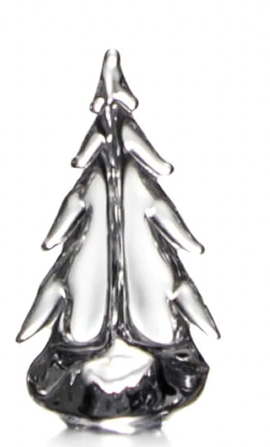 Vermont Evergreen in Gift Box - 6"