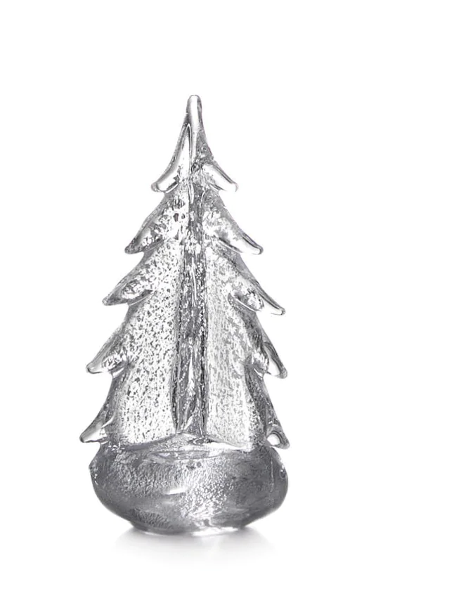 Silver Leaf Evergreen in Gift Box - 10"