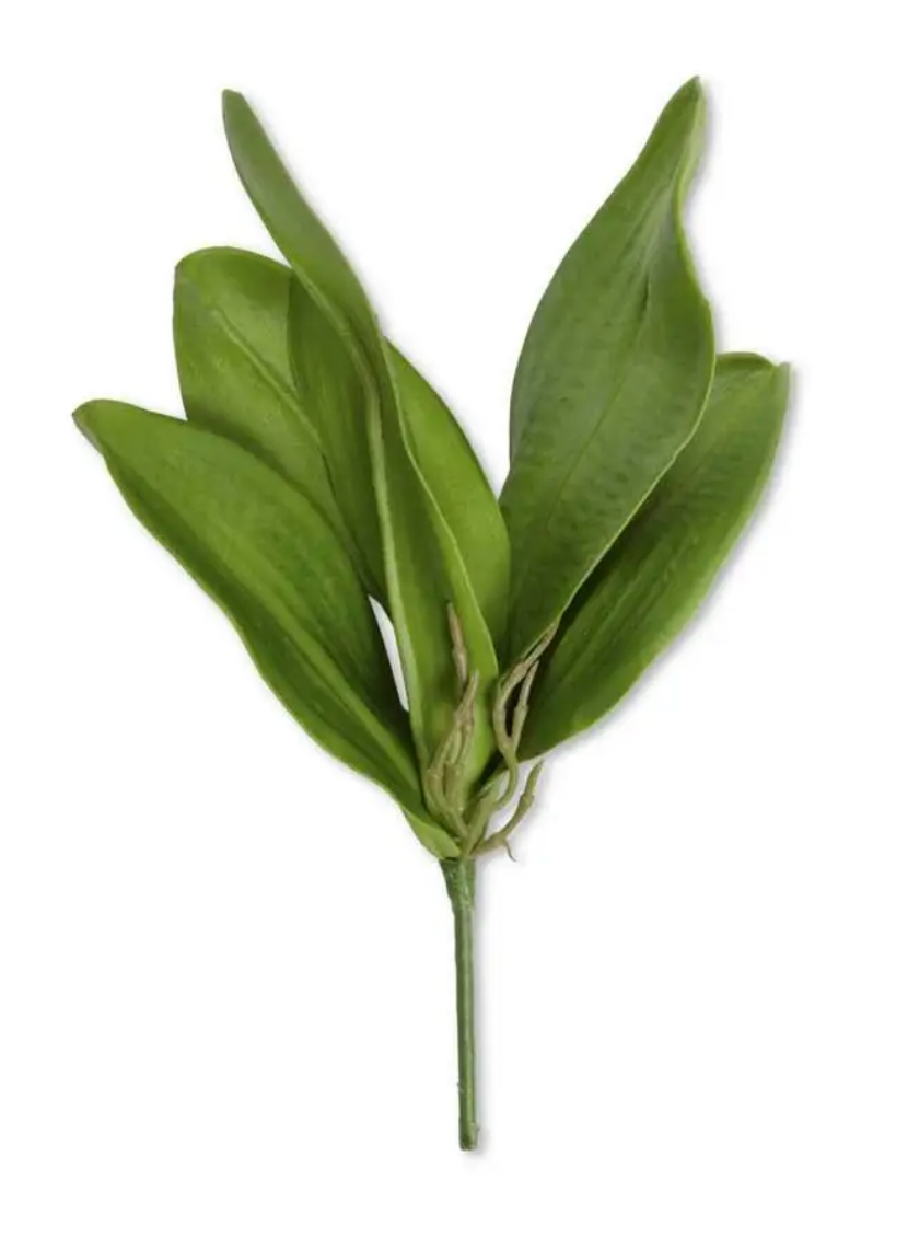 13 Inch Real Touch 5 Orchid Leaves Stem
