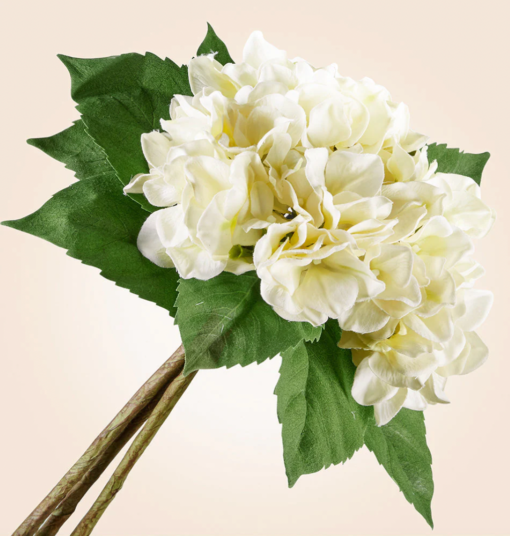 15 Inch White Hydrangea Bundle (3 Stems)