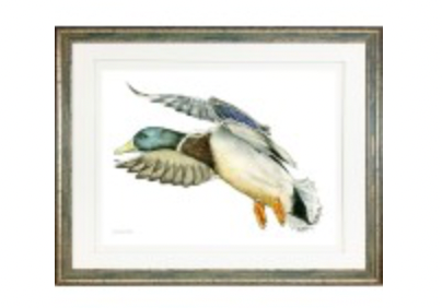 Mallard 2