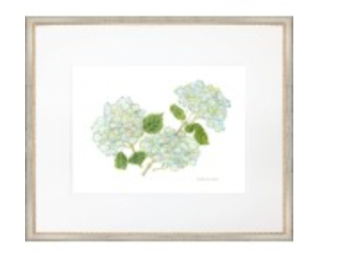 Hydrangea 2