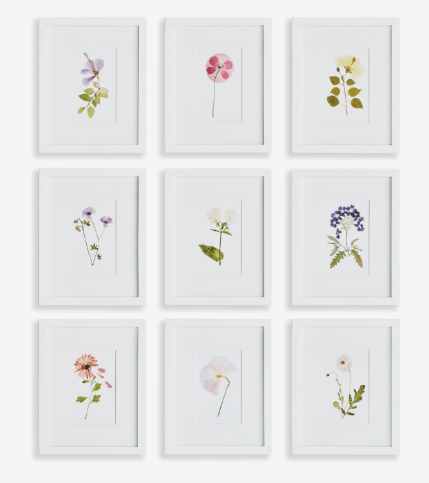 Mountain Flower Petite Prints