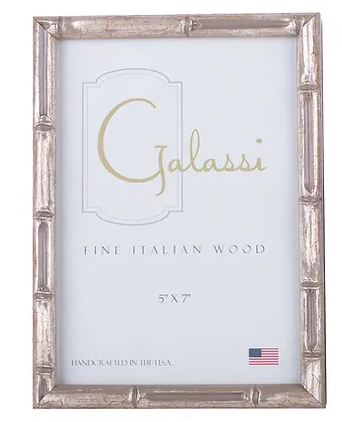 5x7 Silver Bamboo Frame