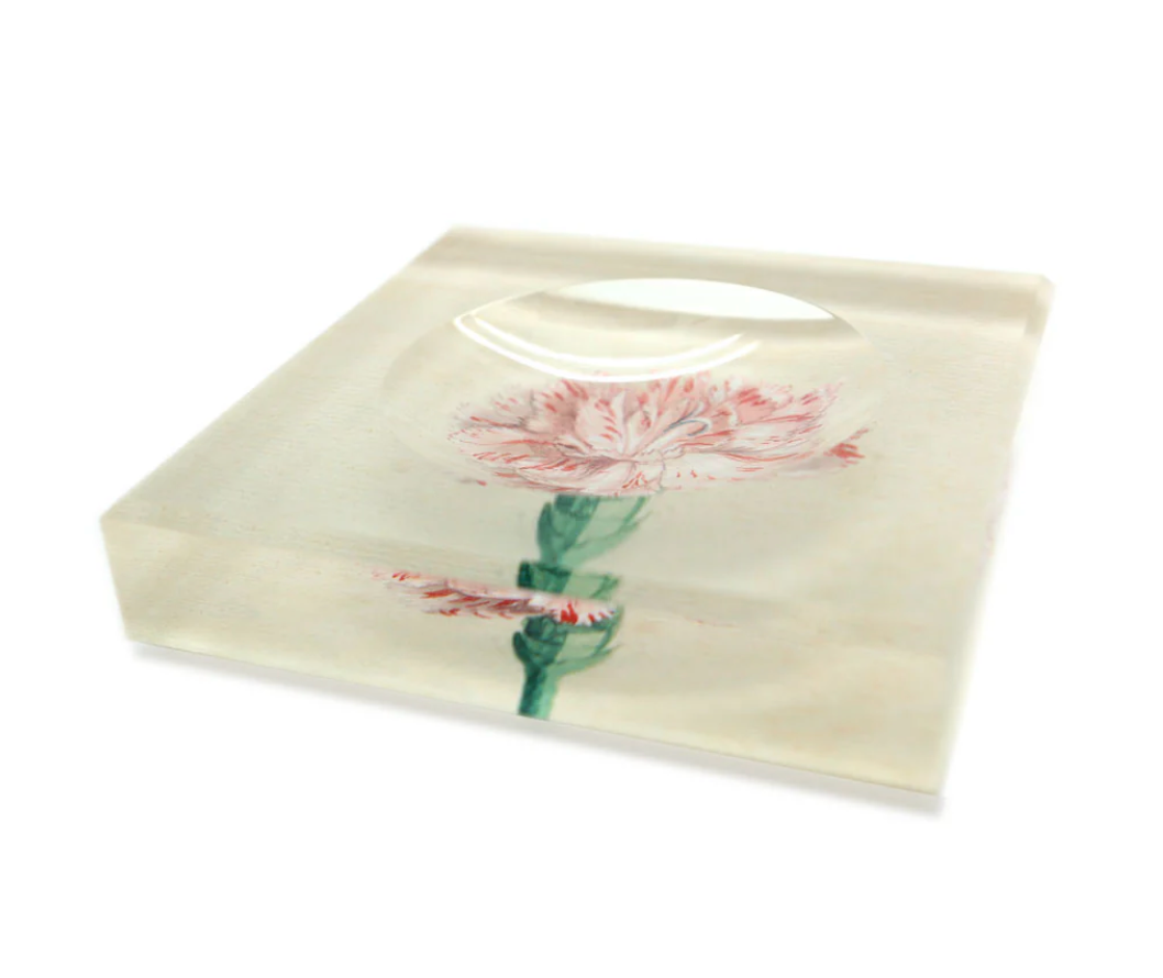 Trinket Bowl | Watercolor Carnation