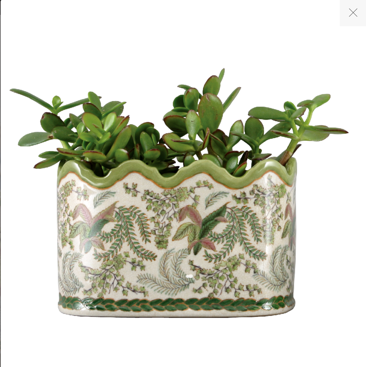 Fern Planter