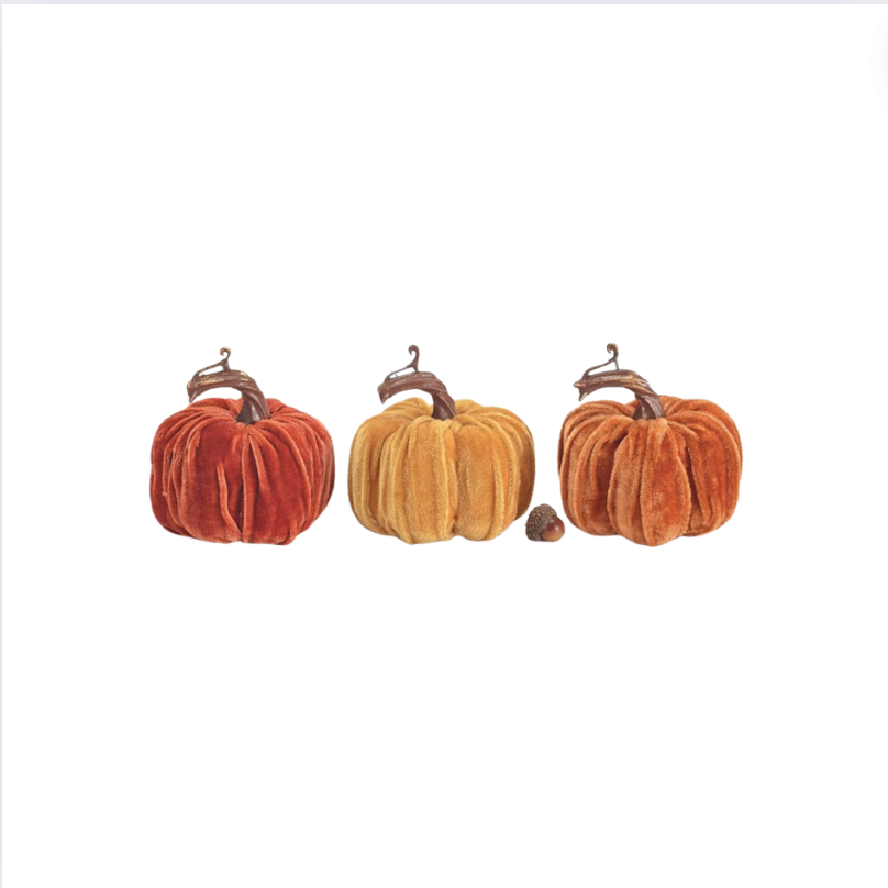 Burton and Burton Mini Velvet Pumpkins