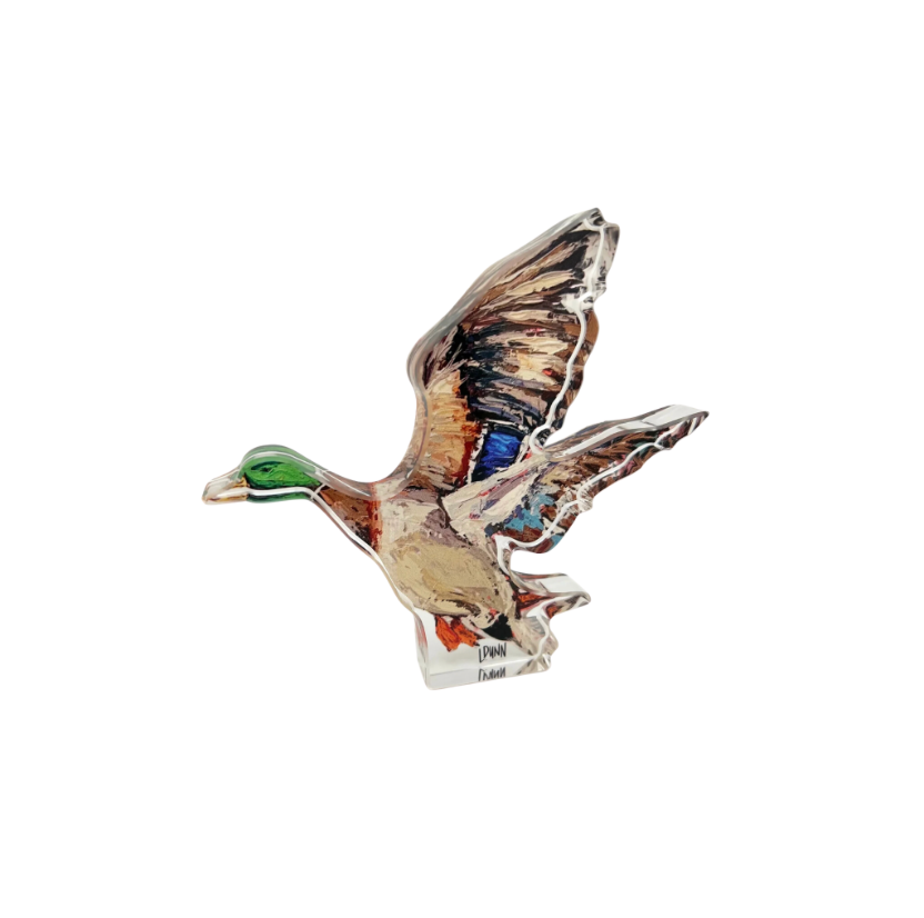 Lauren Dunn Acrylic Duck