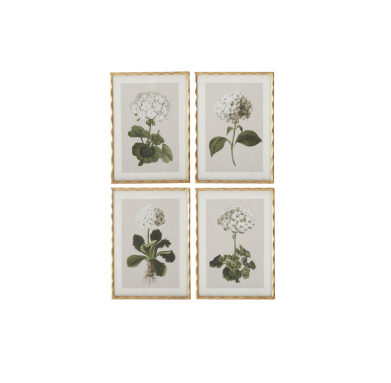 Gold Ornate Wood Framed Geranium Prints