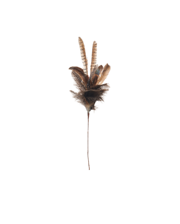 25" Pheasant Feather Pick