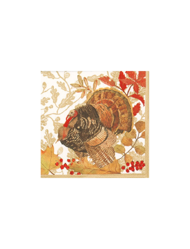 Woodland Turkey Napkin Luncheon