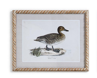 Duck Wall Art