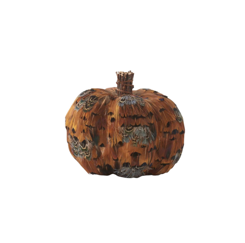 Orange and Brown Feather Pumpkin With Twig Stem