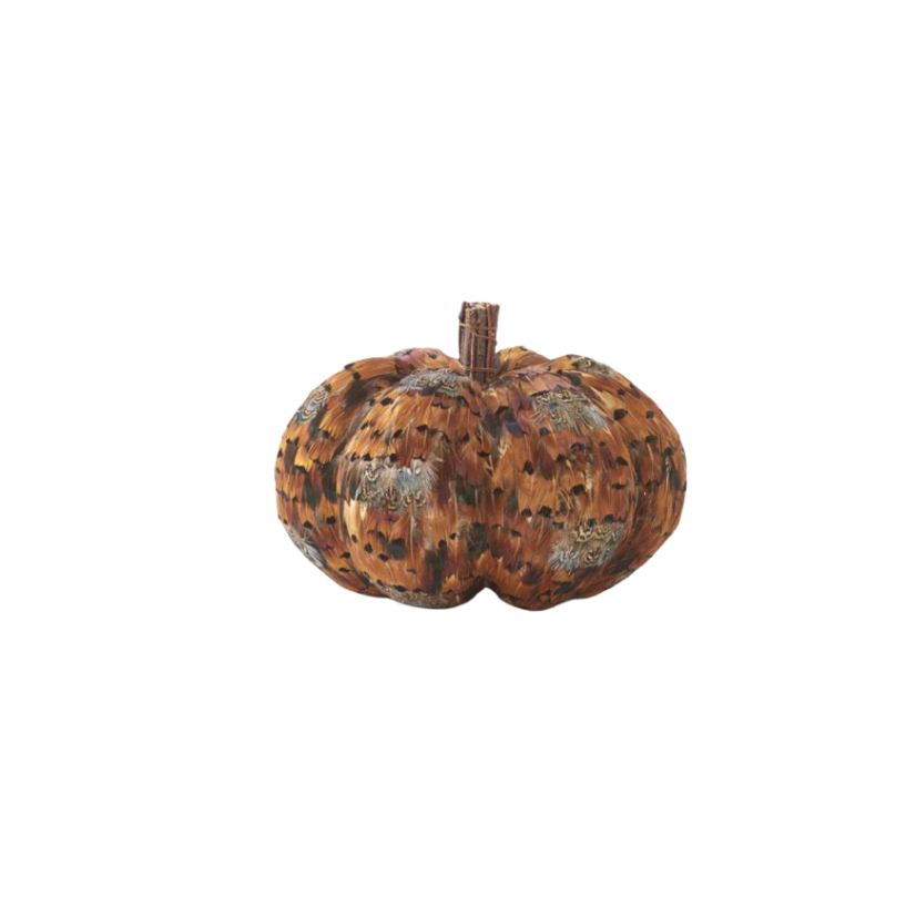 Orange and Brown Feather Pumpkin With Twig Stem