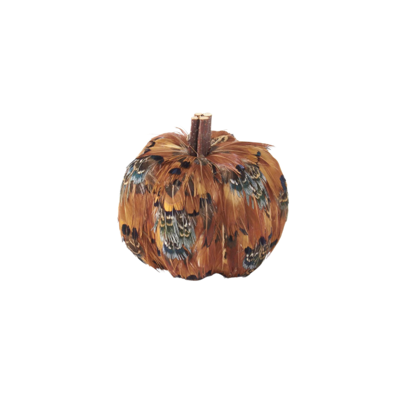 Assorted Feather Pumpkins