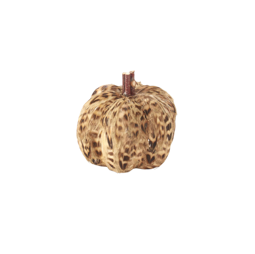 Assorted Feather Pumpkins