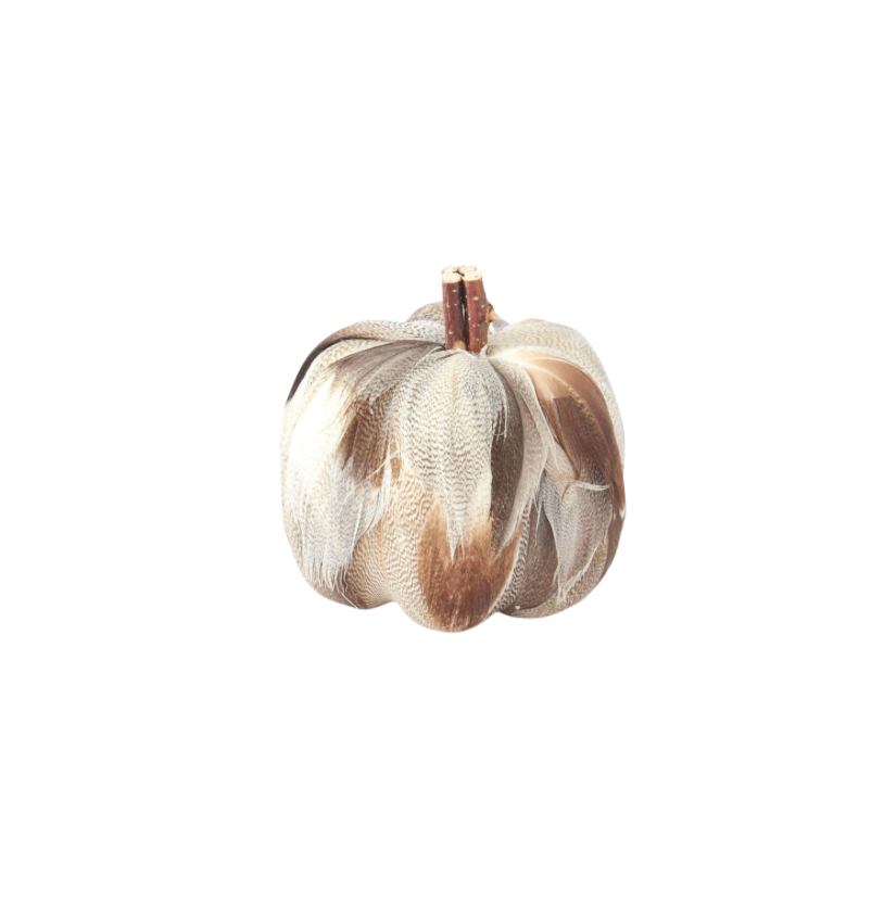 Assorted Feather Pumpkins