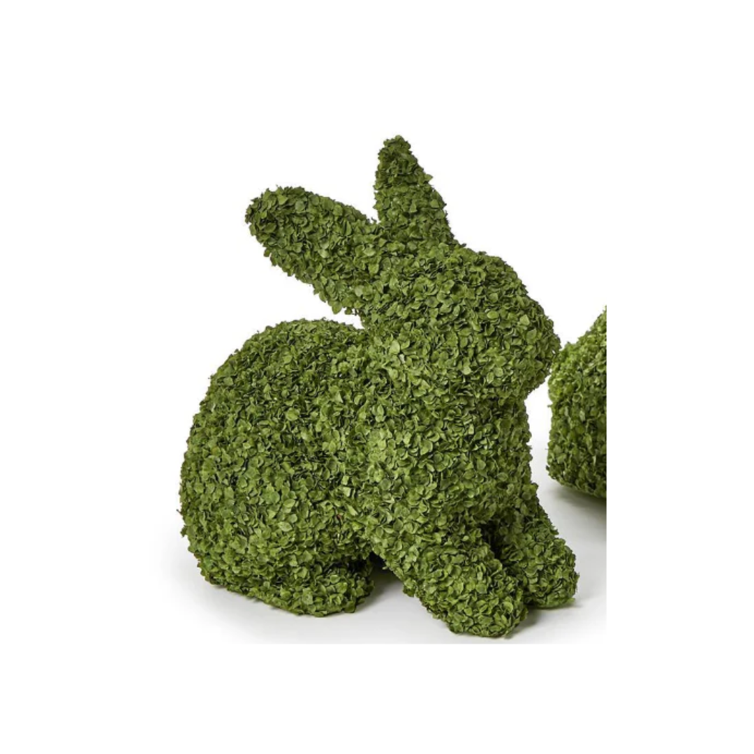Preserved Natural Buckwheat Husk Bunnies
