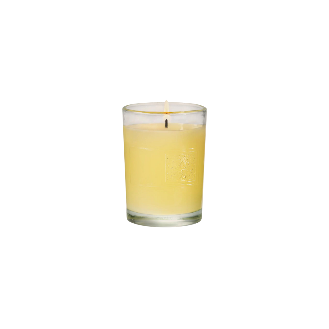Orange & Evergreen Votive Candle - 2.7 oz