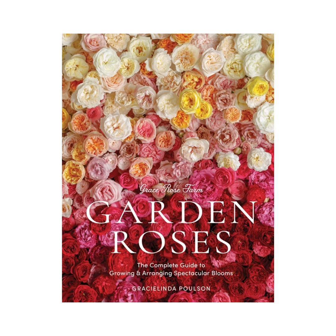 Garden Roses