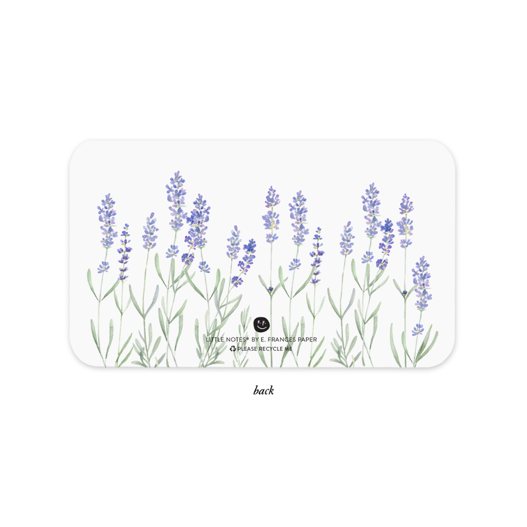 E. Frances Paper Lavender Little Notes