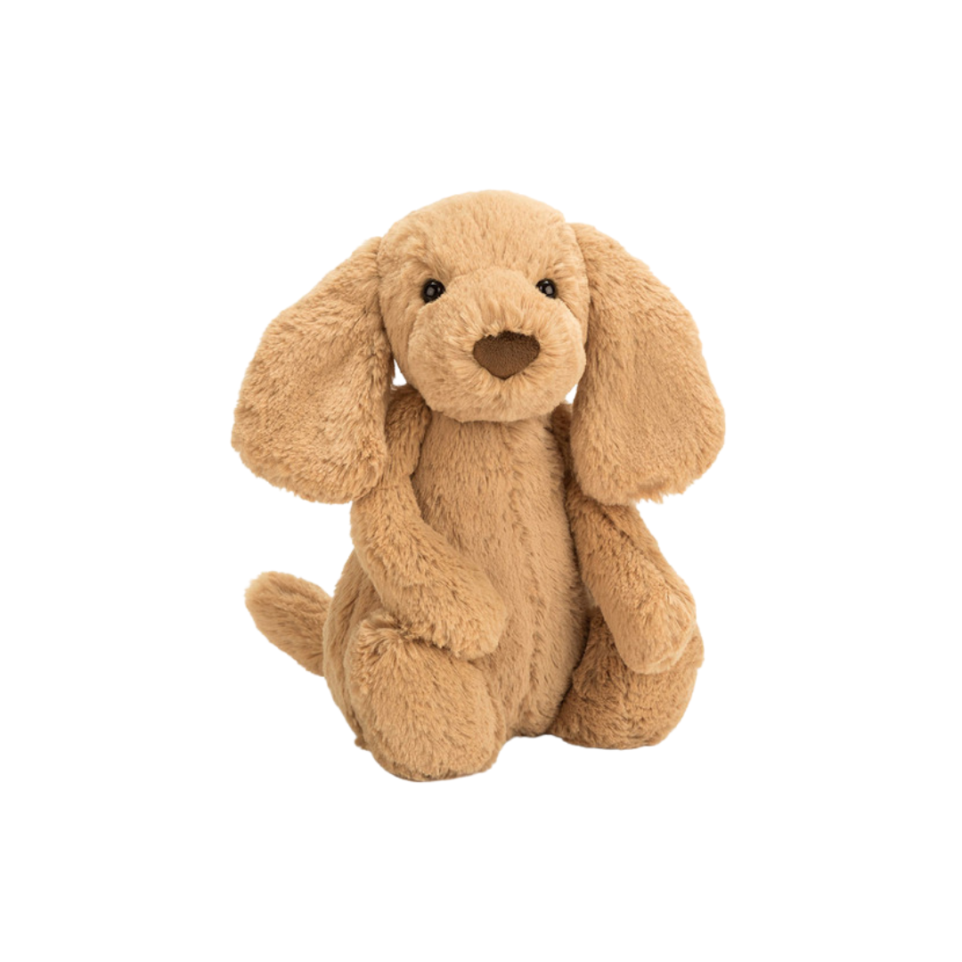 Jelly Cat Bashful Toff Puppy Original Medium