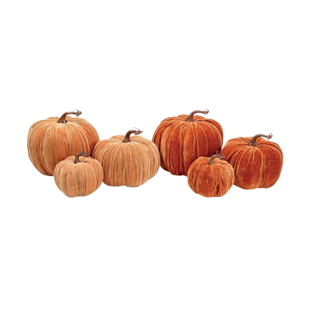 Burton and Burton Velvet Pumpkins