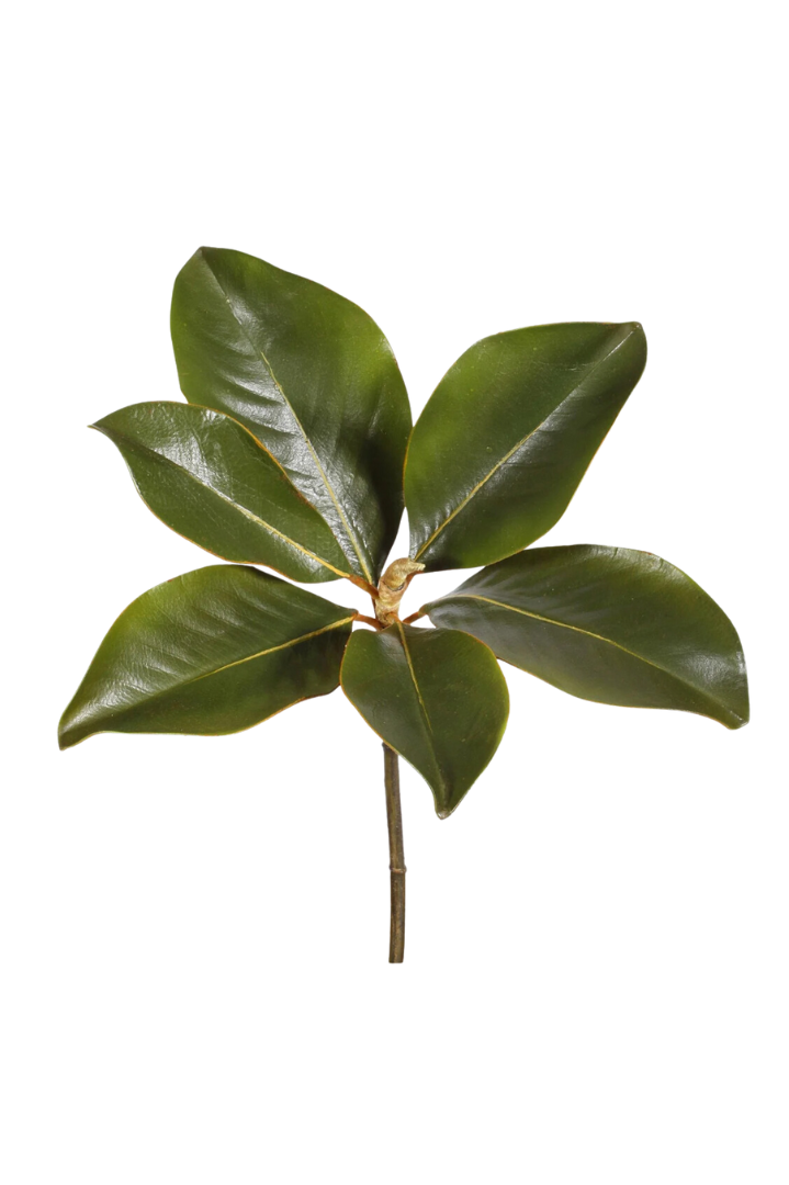 Magnolia Leaf Pick 14"