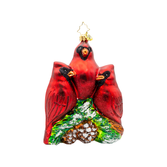 Cardinal Garden Greetings