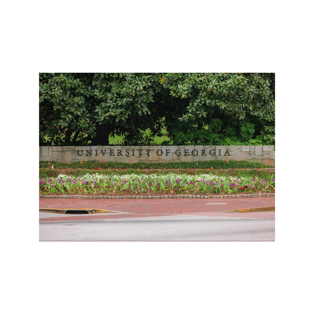 Bryan Horn Art University of Georgia Sign Greeting Cards