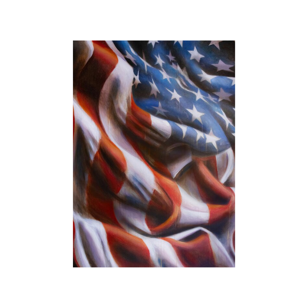 Bryan Horn Art American Flag Vertical Greeting Cards