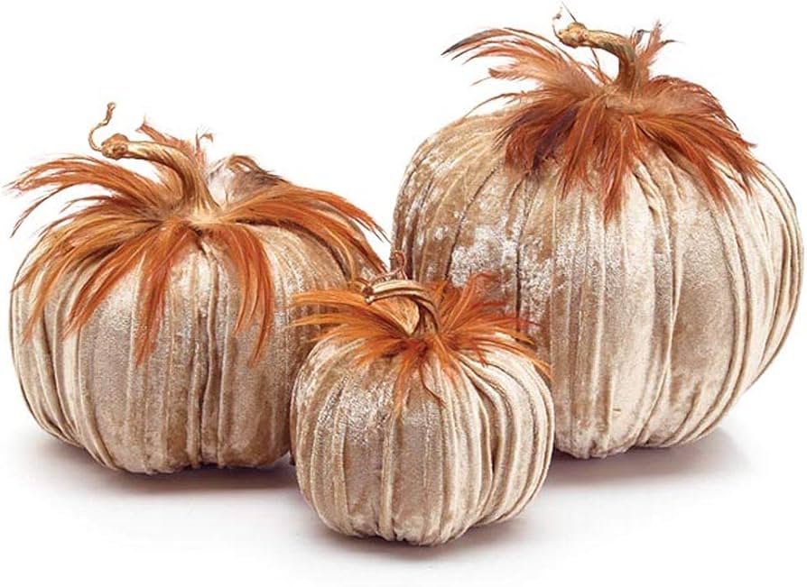 Champagne Velvet Pumpkin With Feathers