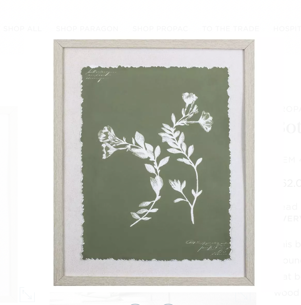 Botanical Garden Wall Art