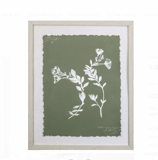 Botanical Garden Wall Art