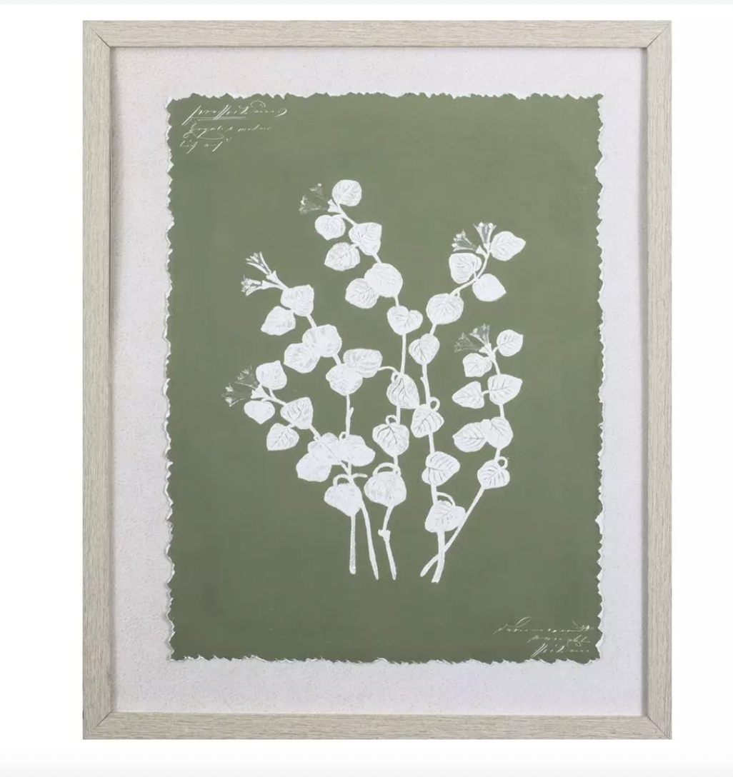 Botanical Garden Wall Art