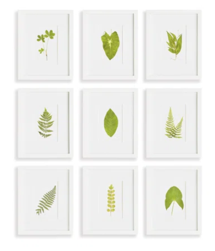 Green Leaf Petite Prints