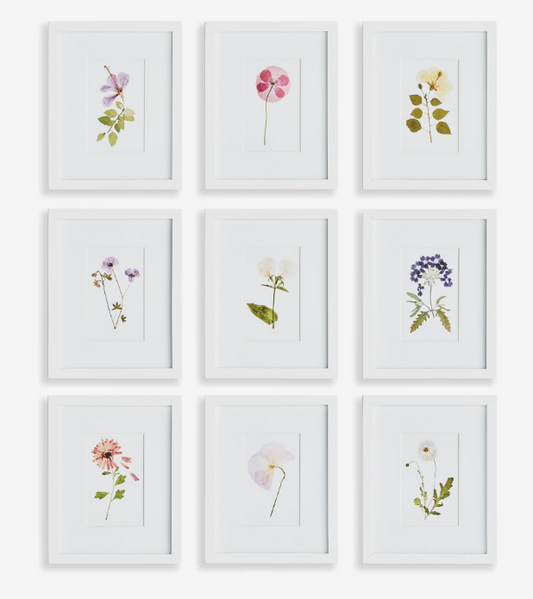 Mountain Flower Petite Prints