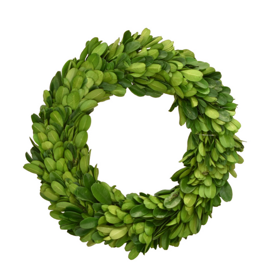 Preserved Boxwood Candle Ring - 8 inch