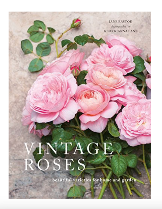 Vintage Roses - by Jane Eastoe