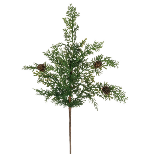 Cypress and Pine Cone Spray