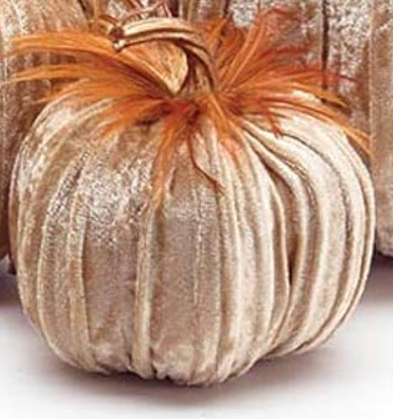 Champagne Velvet Pumpkin With Feathers