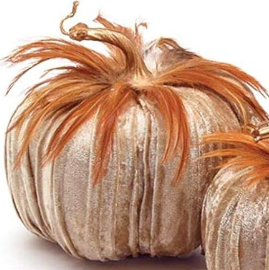 Champagne Velvet Pumpkin With Feathers