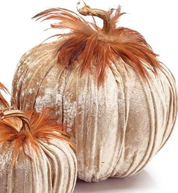 Champagne Velvet Pumpkin With Feathers
