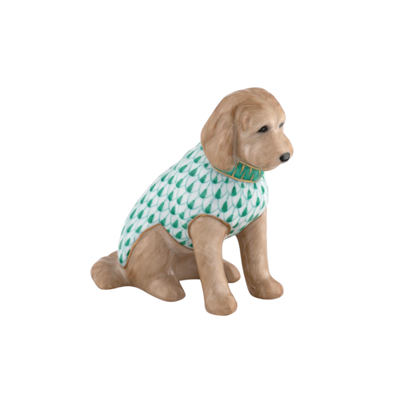 Labradoodle - Green