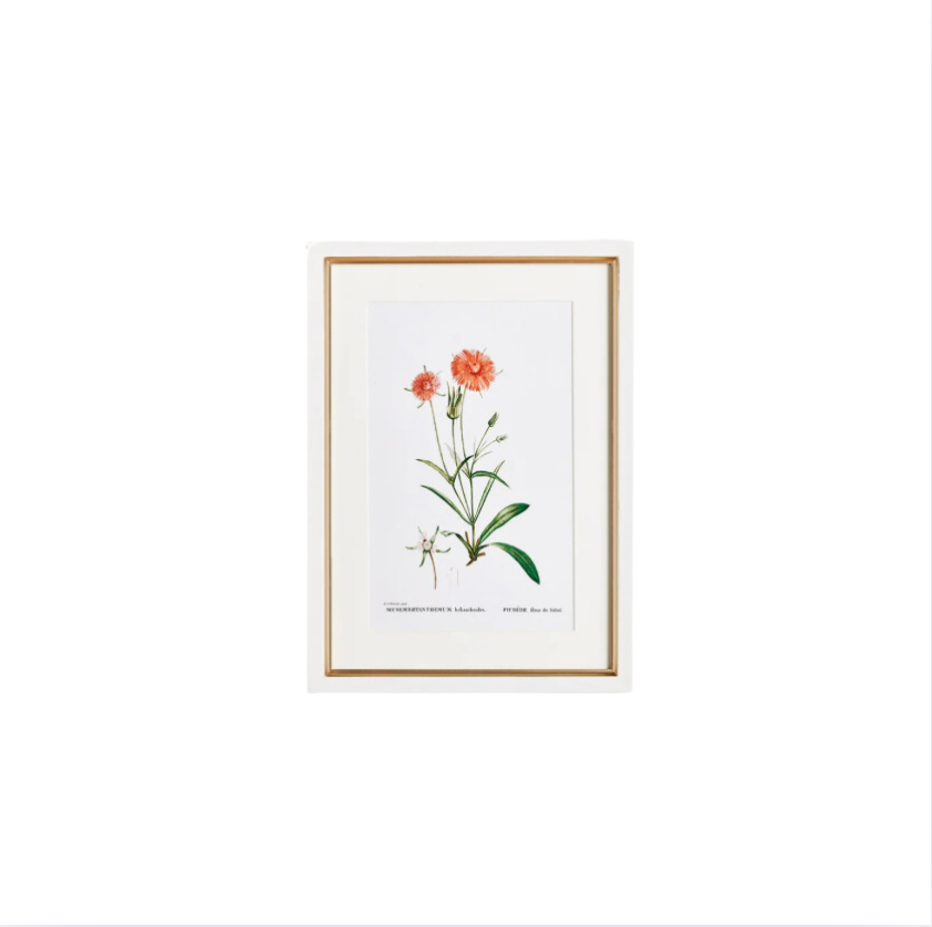 Flower Studies Art