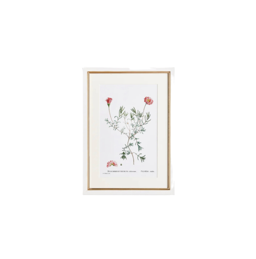 Flower Studies Art