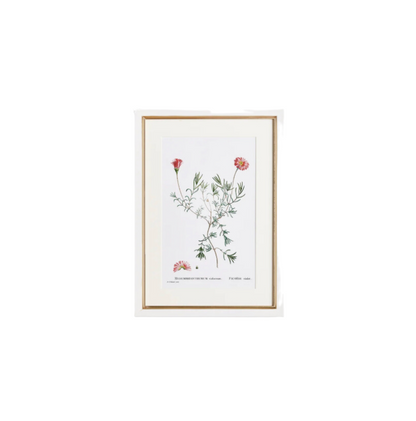 Flower Studies Art