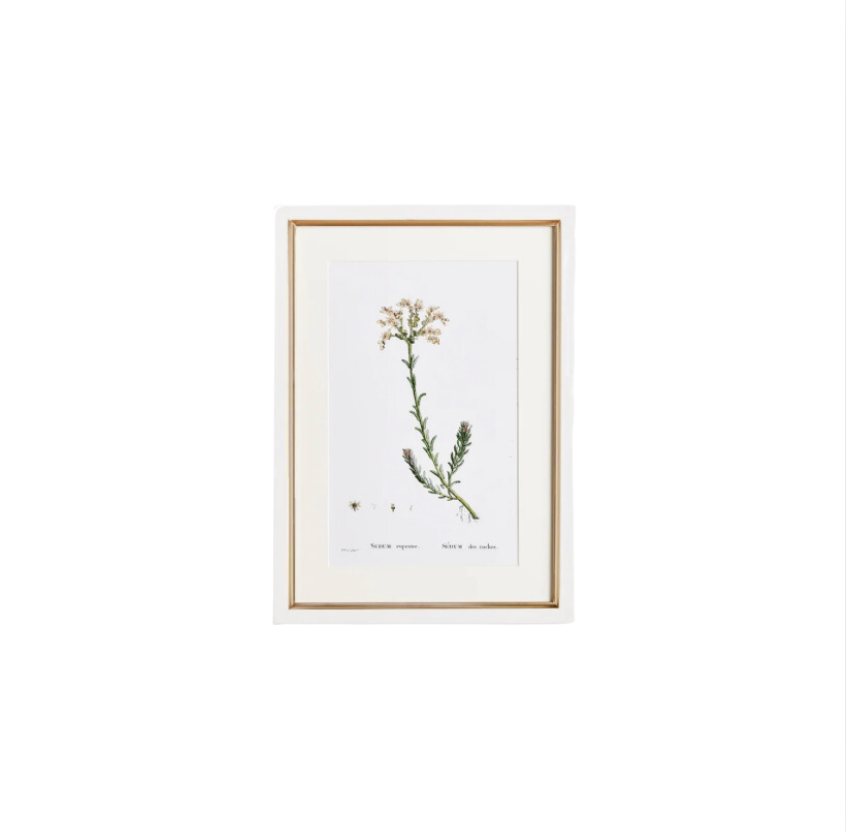 Flower Studies Art