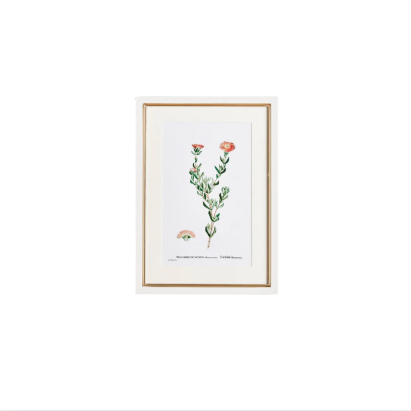 Flower Studies Art